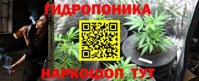 бошки Гусев