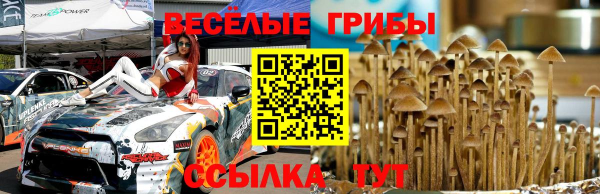 Галлюциногенные грибы Cubensis  Галлюциногенные грибы Cubensis  Мурманск  Вход с VPN 