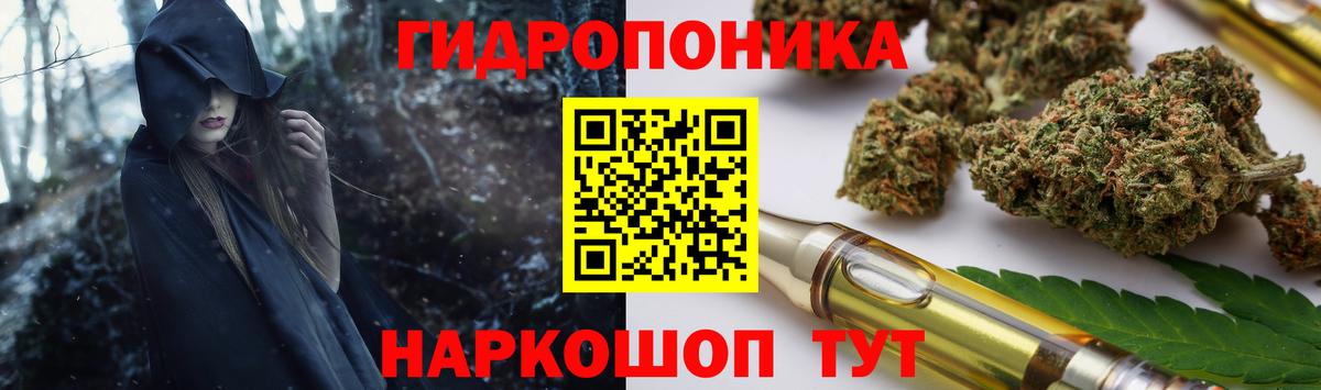МАРИХУАНА семена Мурманск